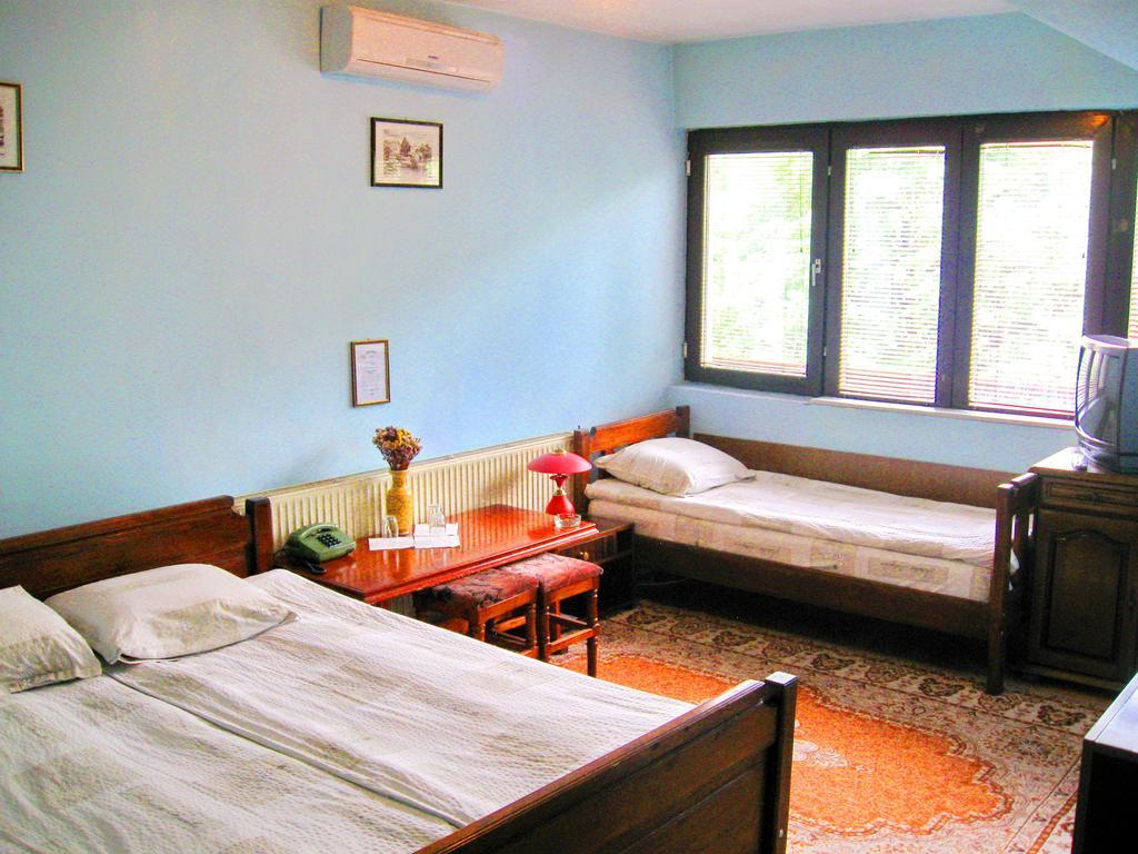 Amfora Rooms Caribrod Dimitrovgrad Quarto foto